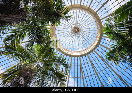 Buffalo and Erie County Botanical Gardens Foto Stock