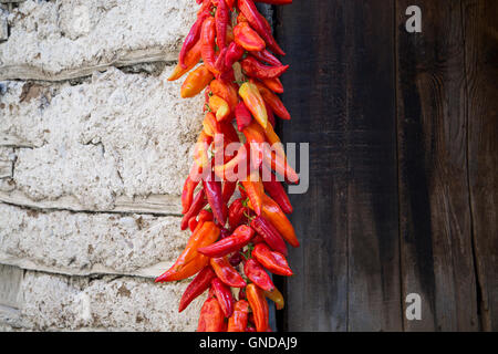 La paprica rossa peperoni tradizionalmente appesi ad asciugare sul muro di una casa Foto Stock