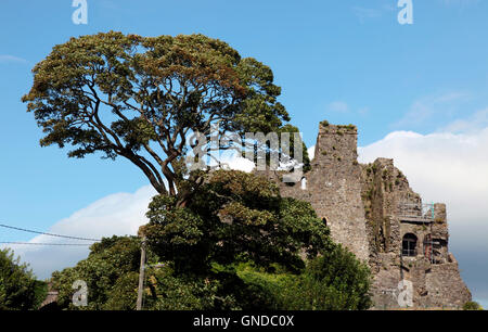 Il re Giovanni del castello del XIII secolo rovina a Carlingford, Co. Louth Foto Stock