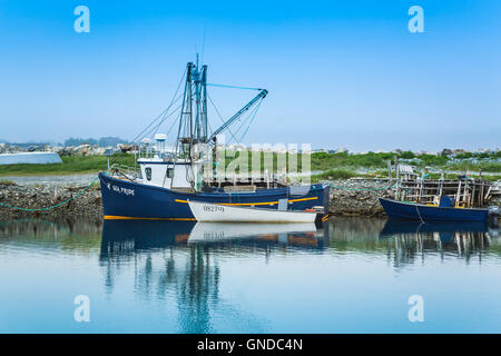 Un piccolo porto con barche da pesca a Ferryland, Terranova e Labrador, Canada. Foto Stock