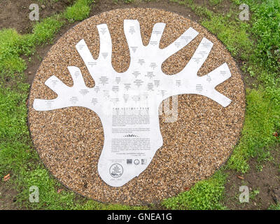 Storia Tree sul moncone di rame in faggio a North Yorkshire Moors Centre per commemorare i 25 anni dell'Associazione NYM Foto Stock