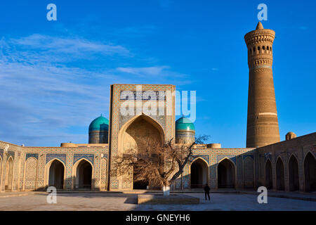 Uzbekistan Bukhara, Patrimonio Mondiale dell Unesco, Kalon Moschea e minareto Foto Stock