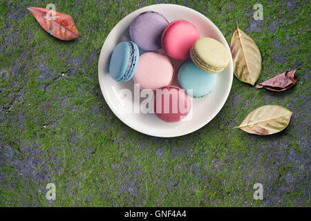 Amaretto di colore pieno nel piatto muschio verde sul vecchio pavimento in calcestruzzo Foto Stock