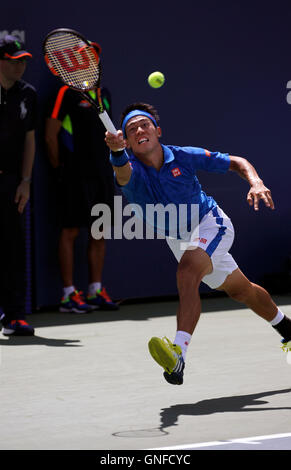 New York, Stati Uniti d'America. Il 30 agosto, 2016. Kei Nishikori del Giappone durante il suo match di primo turno contro Benjamin Becker di Germania presso gli Stati Uniti Open Tennis campionati a Flushing Meadows, New York Martedì, Agosto 30th. Nishikori ha vinto la partita in cinque gruppi. Credito: Adam Stoltman/Alamy Live News Foto Stock