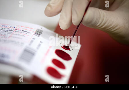 Dresden, Germania. Il 22 agosto, 2016. Un infermiere mette il sangue di un neonato su una scheda file per una fibrosi cistica screening dopo il campionamento di sangue sulla settimana ward dei figli della donna e del centro dell' ospedale universitario Carl Gustav Carus a Dresda (Germania), 22 agosto 2016. I neonati possono ora essere testati per fibroris cistica su tutto il territorio nazionale. Lo screening per la diagnosi precoce del raro, ereditabile malattia metabolica verrà introdotto il 1 settembre 2016. Foto: Arno Burgi/ZB/dpa/Alamy Live News Foto Stock