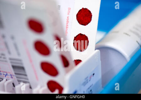 Dresden, Germania. Il 22 agosto, 2016. Numerose schede di file con il sangue dei neonati per una fibrosi cistica stand di screening sulla settimana ward dei figli della donna e del centro dopo il campionamento del sangue dell'ospedale universitario Carl Gustav Carus a Dresda (Germania), 22 agosto 2016. I neonati possono ora essere testati per fibroris cistica su tutto il territorio nazionale. Lo screening per la diagnosi precoce del raro, ereditabile malattia metabolica verrà introdotto il 1 settembre 2016. Foto: Arno Burgi/ZB/dpa/Alamy Live News Foto Stock