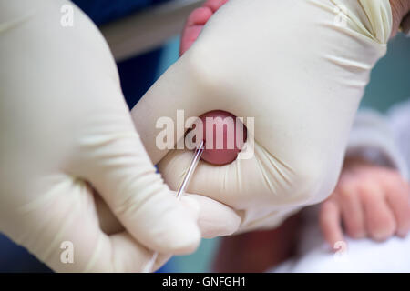 Dresden, Germania. Il 22 agosto, 2016. Un infermiere prende un campione di sangue di un neonato per una fibrosi cistica screening su settimana ward dei figli della donna e del centro dell' ospedale universitario Carl Gustav Carus a Dresda (Germania), 22 agosto 2016. I neonati possono ora essere testati per fibroris cistica su tutto il territorio nazionale. Lo screening per la diagnosi precoce del raro, ereditabile malattia metabolica verrà introdotto il 1 settembre 2016. Foto: Arno Burgi/ZB/dpa/Alamy Live News Foto Stock