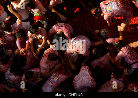 Villaggio di Bunol, Valencia, Spagna. Il 31 agosto, 2016. L'annuale "Tomatina', pomodoro lotta fiesta, nel villaggio di Bunol, Valencia, Spagna, mercoledì 31 agosto, 2016. Credito: Gtres Información más Comuniación on line,S.L./Alamy Live News Foto Stock