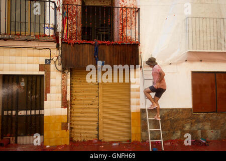 Villaggio di Bunol, Valencia, Spagna. Il 31 agosto, 2016. L'annuale "Tomatina', pomodoro lotta fiesta, nel villaggio di Bunol, Valencia, Spagna, mercoledì 31 agosto, 2016. Credito: Gtres Información más Comuniación on line,S.L./Alamy Live News Foto Stock