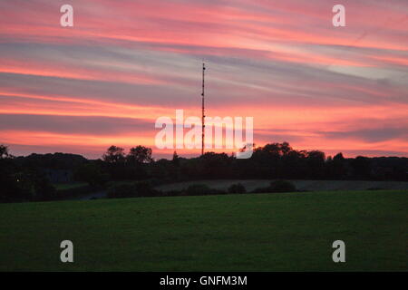 Lambourn, UK. 31 Agosto, 2016. Il sole tramonta dietro Membury stazione trasmittente, vicino membury servizi sulla M4 dopo ancora un altro giorno caldo. Credito: Daniel Crawford/Alamy Live News Foto Stock