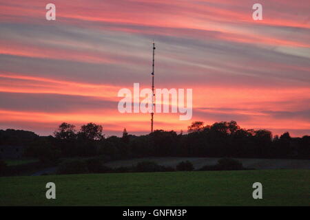 Lambourn, UK. 31 Agosto, 2016. Il sole tramonta dietro Membury stazione trasmittente, vicino membury servizi sulla M4 dopo ancora un altro giorno caldo. Credito: Daniel Crawford/Alamy Live News Foto Stock