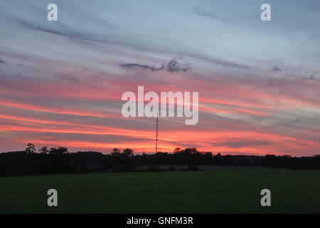 Lambourn, UK. 31 Agosto, 2016. Il sole tramonta dietro Membury stazione trasmittente, vicino membury servizi sulla M4 dopo ancora un altro giorno caldo. Credito: Daniel Crawford/Alamy Live News Foto Stock