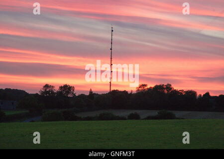 Lambourn, UK. 31 Agosto, 2016. Il sole tramonta dietro Membury stazione trasmittente, vicino membury servizi sulla M4 dopo ancora un altro giorno caldo. Credito: Daniel Crawford/Alamy Live News Foto Stock