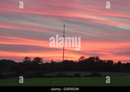 Lambourn, UK. 31 Agosto, 2016. Il sole tramonta dietro Membury stazione trasmittente, vicino membury servizi sulla M4 dopo ancora un altro giorno caldo. Credito: Daniel Crawford/Alamy Live News Foto Stock