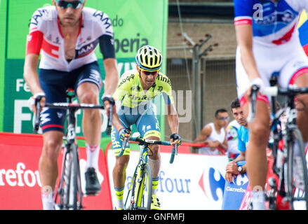 Peña Cabarga, Spagna. 31 Agosto, 2016. Gesù Hernandez (Tinkoff) termina l'undicesima tappa della corsa di ciclismo de 'La Vuelta a España " (Tour di Spagna) tra Colunga e Peña Cabarga su agosto 31, 2016 a Peña Cabarga, Spagna. Credito: David Gato/Alamy Live News Foto Stock