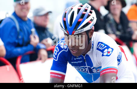 Peña Cabarga, Spagna. 31 Agosto, 2016. Lorenzo Manzin (FDJ) termina l'undicesima tappa della corsa di ciclismo de 'La Vuelta a España " (Tour di Spagna) tra Colunga e Peña Cabarga su agosto 31, 2016 a Peña Cabarga, Spagna. Credito: David Gato/Alamy Live News Foto Stock