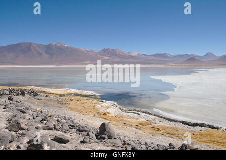 Laguna Blanca con la lastra di ghiaccio, Ande nel sud-ovest della Bolivia Foto Stock