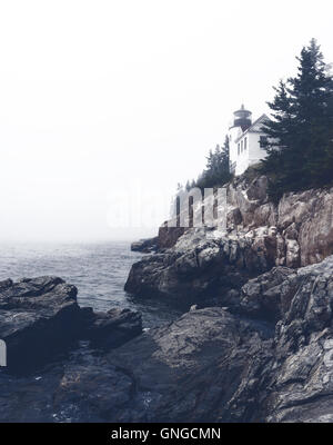 Porto basso luce di testa su un nebbioso giorno, parco nazionale di Acadia, Maine Foto Stock