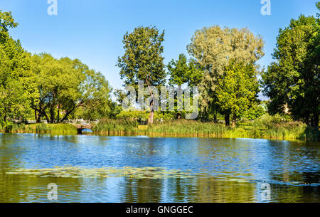 Stagno di Olga a Peterhof - Russia Foto Stock