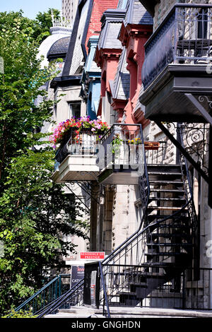 Casa in Le Plateau Mont Royal, Montreal, Canada Foto Stock