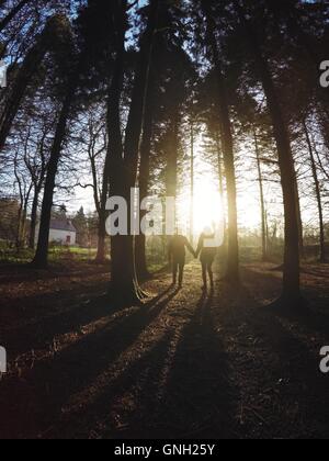 Silhouette di giovane camminare attraverso la foresta Holding Hands, Belfast, Irlanda del Nord, Regno Unito Foto Stock