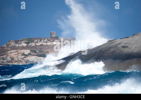 Onde che colpiscono rocce lungo la costa vicino Calvi, Corsica, Francia Foto Stock
