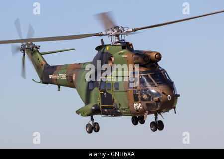 L esercito francese Puma elicottero Foto Stock