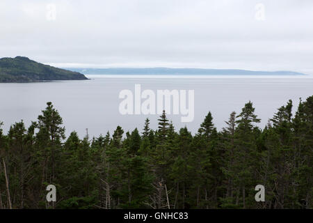 Una vista del litorale e woodland da il Doctor's House Inn and Spa at Green Harbour in Terranova e Labrador, Canada Foto Stock