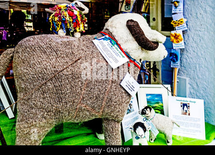 Pecore di lana sul display nella vetrina di un negozio. Foto Stock
