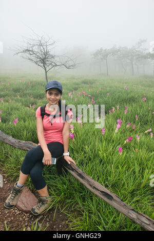 Campo di wild Siam tulipani (Curcuma alismatifolia) nella nebbia, Sai Thong National Park, Chaiyaphum, Thailandia Foto Stock