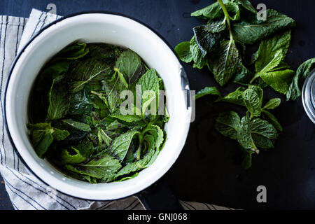 Foglie di menta fresca in una ciotola Foto Stock