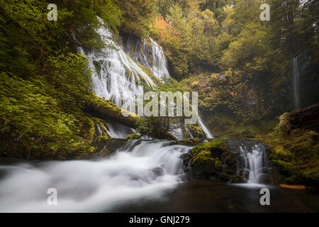 Panther Creek Falls, Washington, Stati Uniti Foto Stock