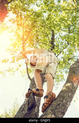 Adorabili piccolo ragazzo ha divertimento salendo sulla struttura ad albero al giorno d'estate. Infanzia felice sfondo Foto Stock