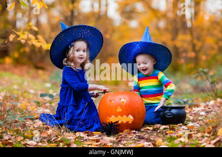 Bambini indossare blu costumi strega con cappelli giocando con zucca e ragno in autunno Park di Halloween. Kids dolcetto o scherzetto. Foto Stock