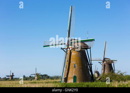 Gruppo di autentici mulini a vento a Kinderdijk UNESCO World Heritage Site, dighe e polder, Holland, Paesi Bassi Foto Stock