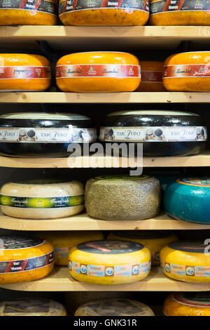 Il formaggio delle ruote sul display ripiani al formaggio tradizionale negozio 't Kaaswinkeltje in Gouda, Holland, Paesi Bassi Foto Stock