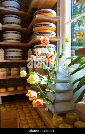 Tradizionale formaggio Gouda ruote sulla vendita di formaggio Olandese shop nel quartiere Jordaan di Amsterdam, Olanda Foto Stock