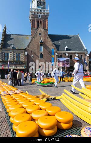 Facchini / portanti con ruote / cicli di formaggio Gouda da barella a piazza Waagplein, mercato del formaggio di Alkmaar, Netherl Foto Stock