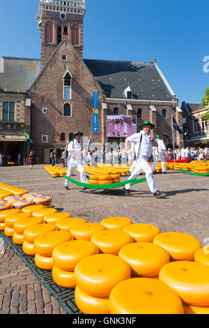 Facchini / portanti con ruote / cicli di formaggio Gouda da barella a piazza Waagplein, mercato del formaggio di Alkmaar, Netherl Foto Stock