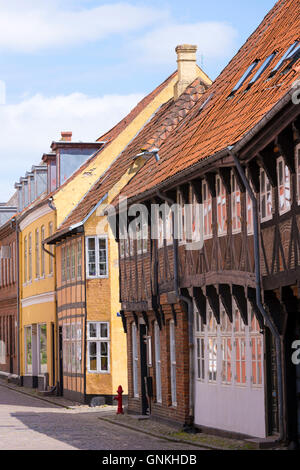 Via medievale nel centro di Ribe, sud dello Jutland, Danimarca Foto Stock