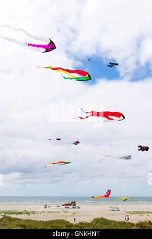 Il Kite festival di colore brillante aquiloni nel cielo sopra Rindby Strand Beach sull'isola di Fano - Fanoe - sud dello Jutland, Danimarca Foto Stock