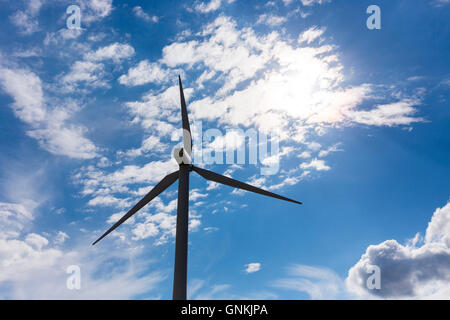 Paletta e pale di turbine eoliche per sfruttare le fonti di energia eolica in Danimarca Foto Stock