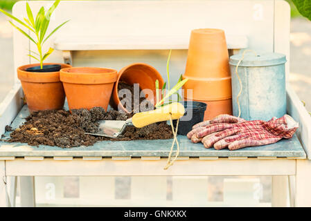 Immagine di una tabella di semina con strumenti e pentole. Foto Stock