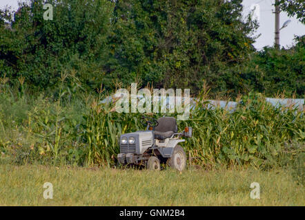 Trattore su una fattoria privata Foto Stock