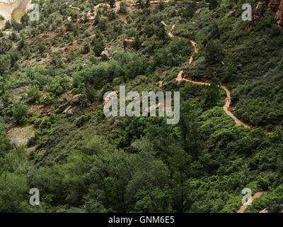 Un avvolgimento trail nel Parco Nazionale di Zion Foto Stock
