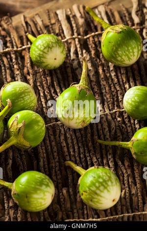 Materie verde melanzane tailandesi pronti per la cottura Foto Stock