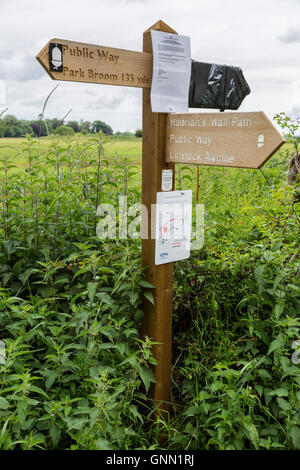 Il Vallo di Adriano segnavia, con Avviso deviazione temporanea. Cumbria, Inghilterra, Regno Unito. Foto Stock