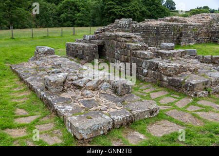 Cumbria, Inghilterra. Ponte Willowford battute dal ponte romano in precedenza sul fiume Irthing. Il Vallo di Adriano di sentiero. Foto Stock