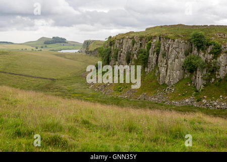 Northumberland, Inghilterra, Regno Unito. Sbucciare dirupi in acciaio Rigg, il vallo di Adriano di sentiero. Foto Stock