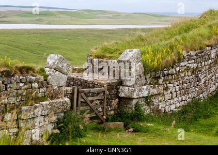 Northumberland, Inghilterra, Regno Unito. Milecastle 37 con resti di Arco sul Gateway apertura al nord. Broomlee Lough a distanza Foto Stock